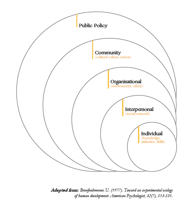 A diagram of the Social Ecological Model